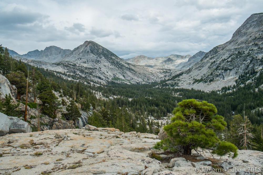 Dag4-4838.thumb.jpg.e71b242feeb8e2cb6411