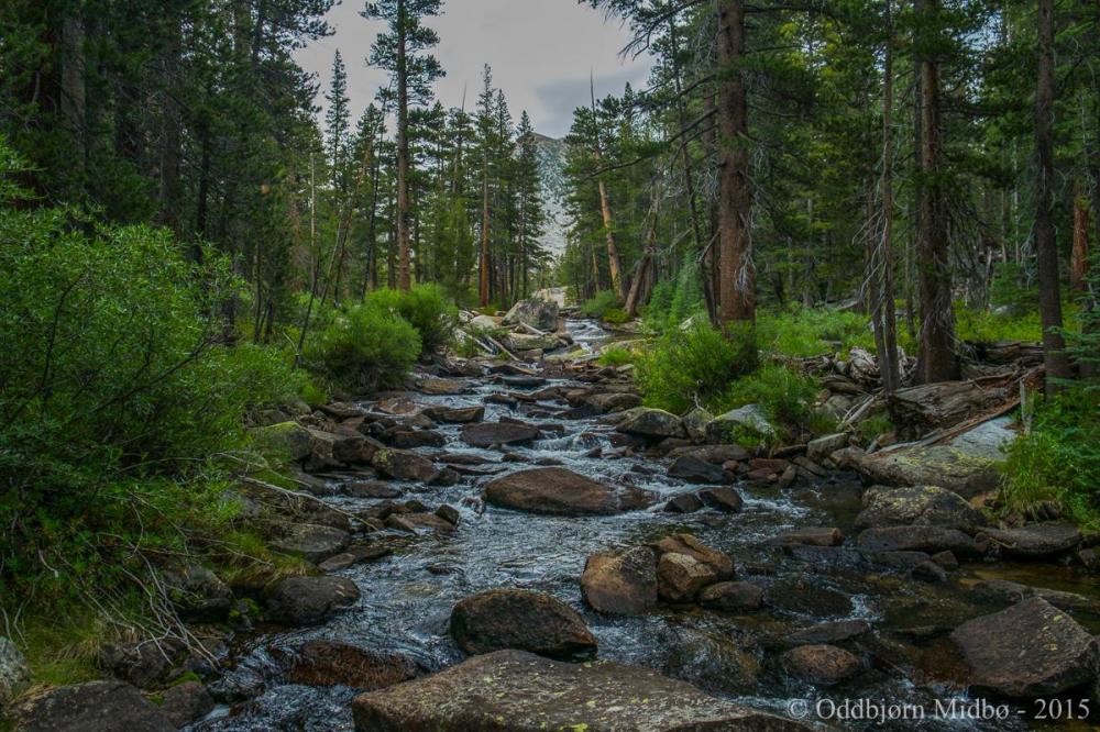 Dag4-4852.thumb.jpg.2a72a046179a090ad2bc