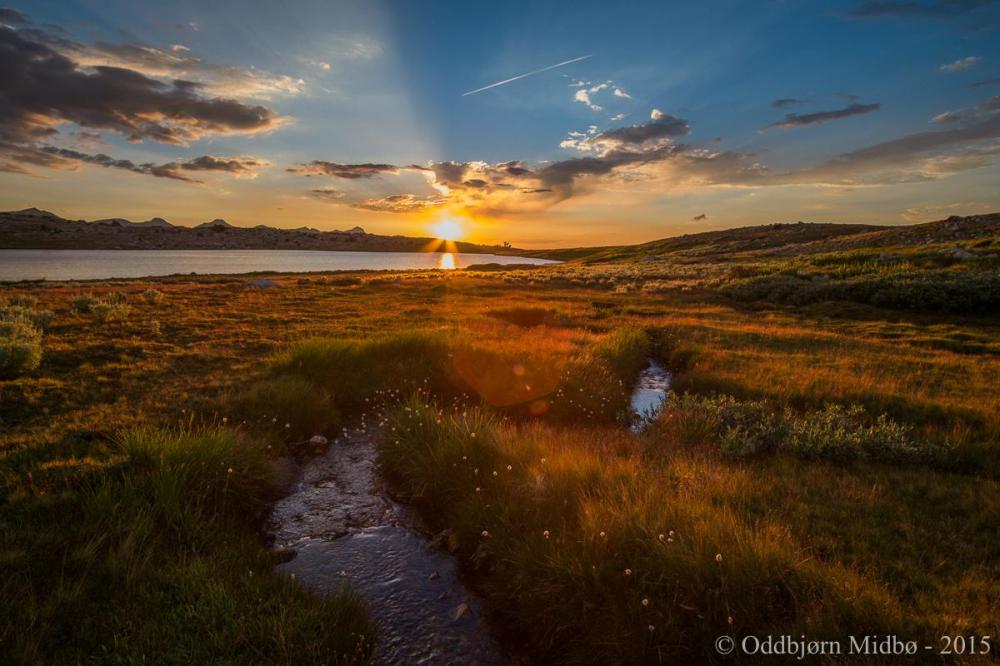 Dag4-4943.thumb.jpg.cdc9a257c185352f4e22