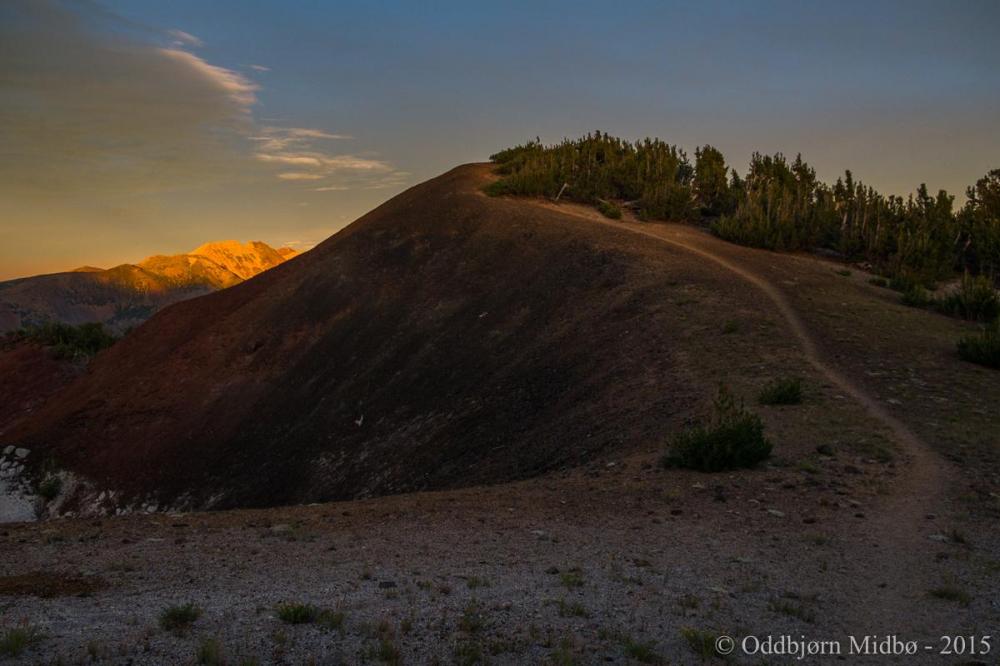 Dag9-5834.thumb.jpg.54ae7a53f0a044c52296