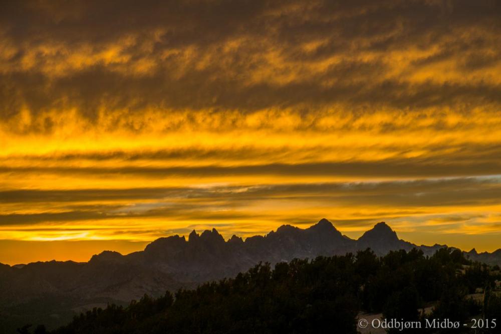 Dag9-5846.thumb.jpg.23a27fe76a2aa46d5f3c