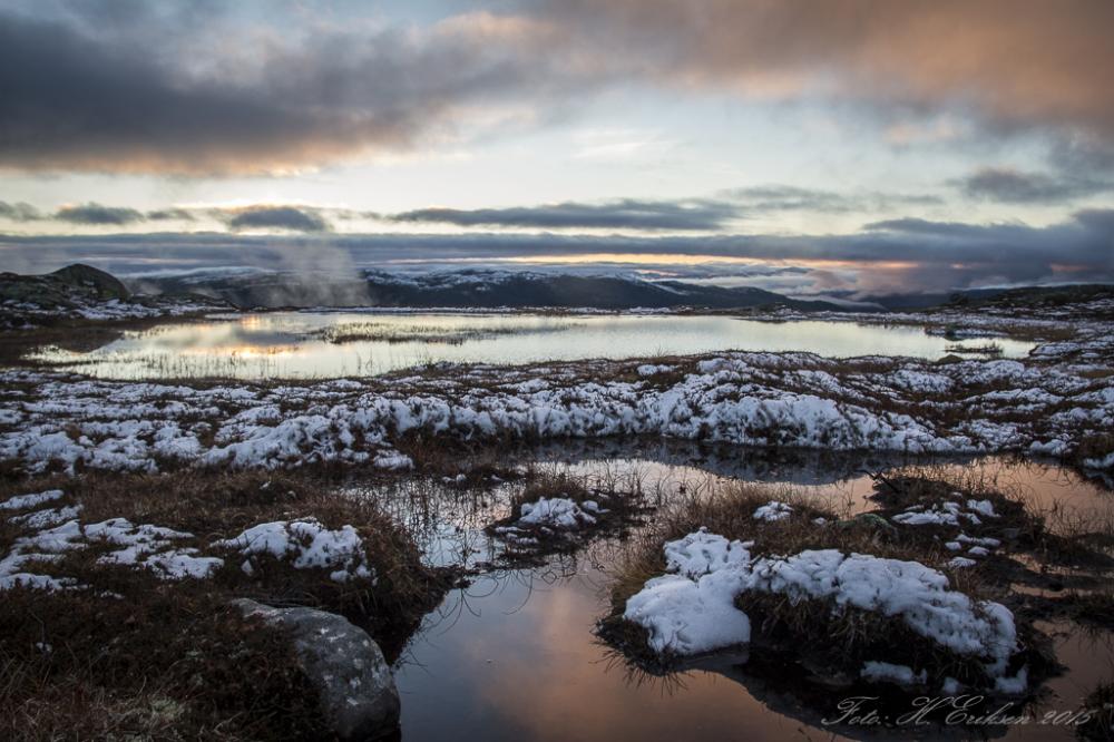 IMG_5849.thumb.jpg.1903a3a65fb1f981b2e84