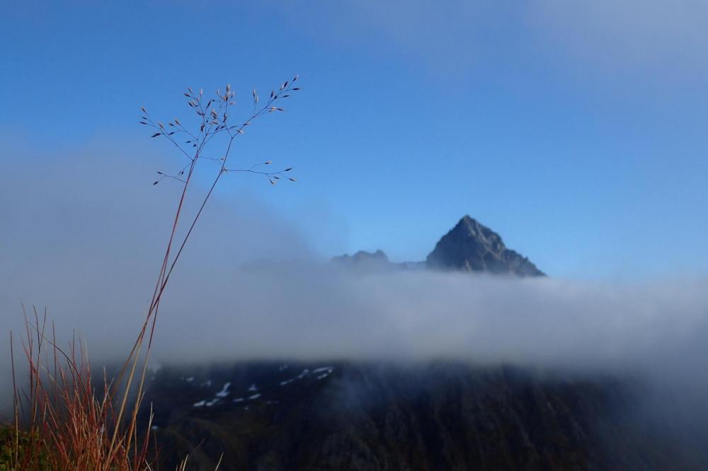 PA182067.thumb.JPG.159ab420ef39c69628db7