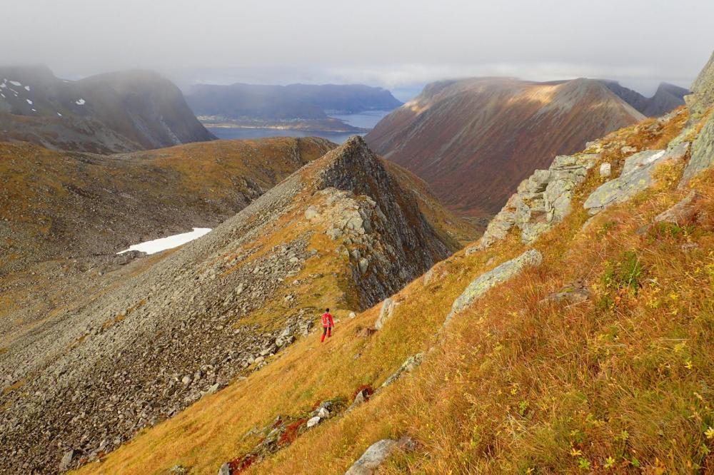 PA182090.thumb.JPG.97942a5b160e9016af806