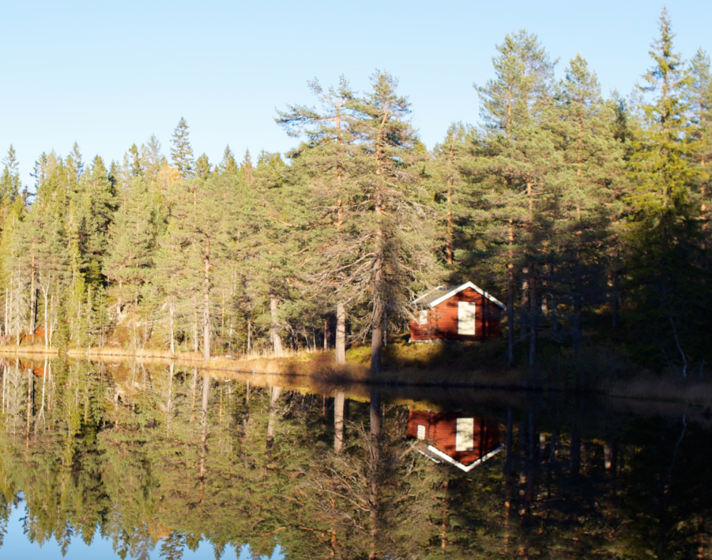 Skjermbilde_2015-10-27_kl._22.55.37.thum