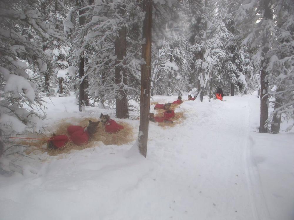 1026142_619212778097948_127627040_o.thum