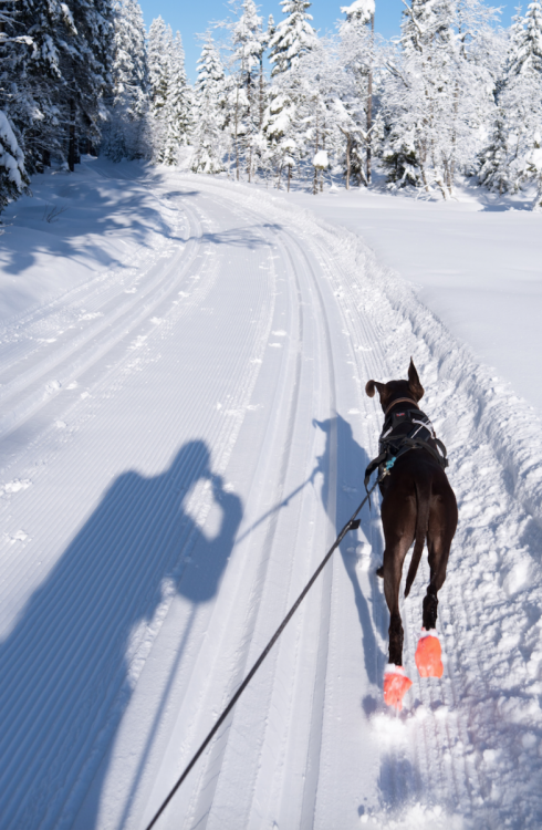 5637b1c73423a_Skjermbilde2015-11-02kl.21