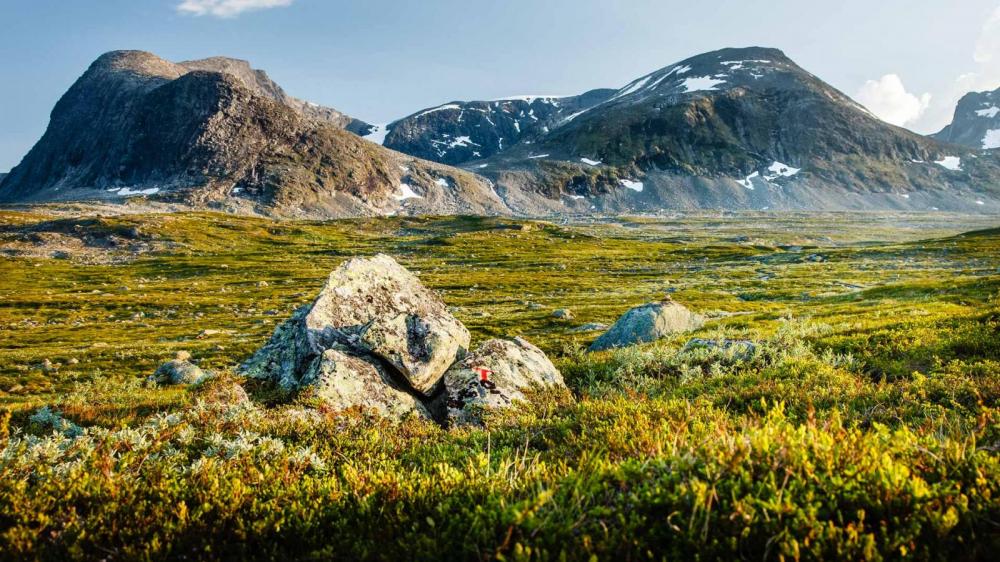 5643b533600ec_Romsdal(8of12).thumb.jpg.7