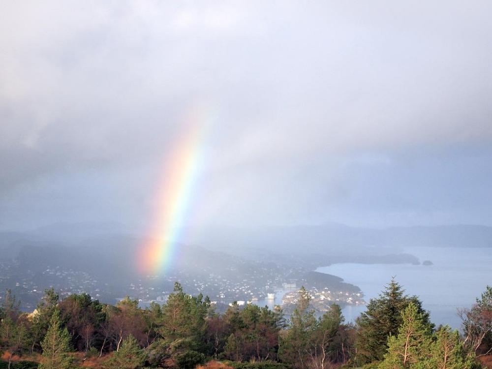 5648b7c547c44_Innfranordvest(PB150332).t