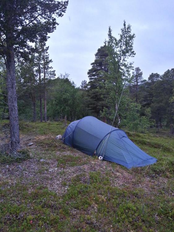 2015-07-25 01.30.23.jpg