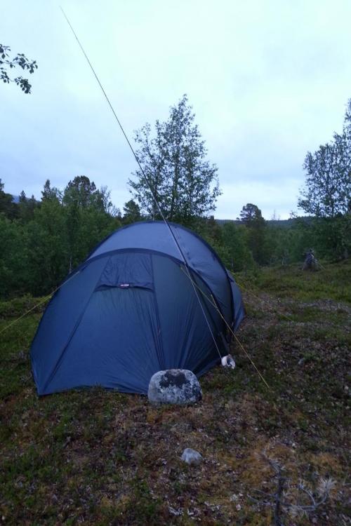 2015-07-25 01.27.32.jpg