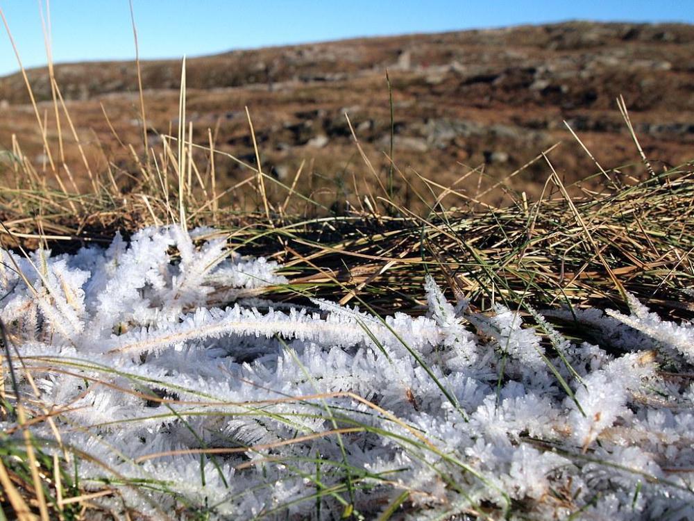 5652104d550de_Krystallisering(PB220345).