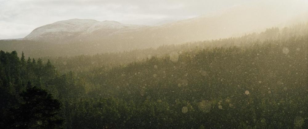 5656c386b651d_Romsdal(1of1).thumb.jpg.88