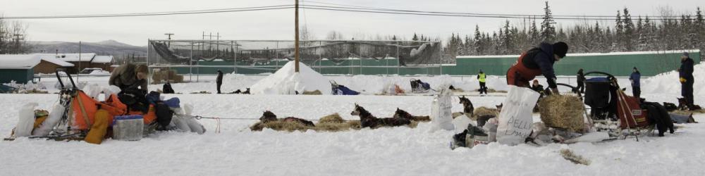 8446482458_f52f1dbe68_k.thumb.jpg.b70a0a