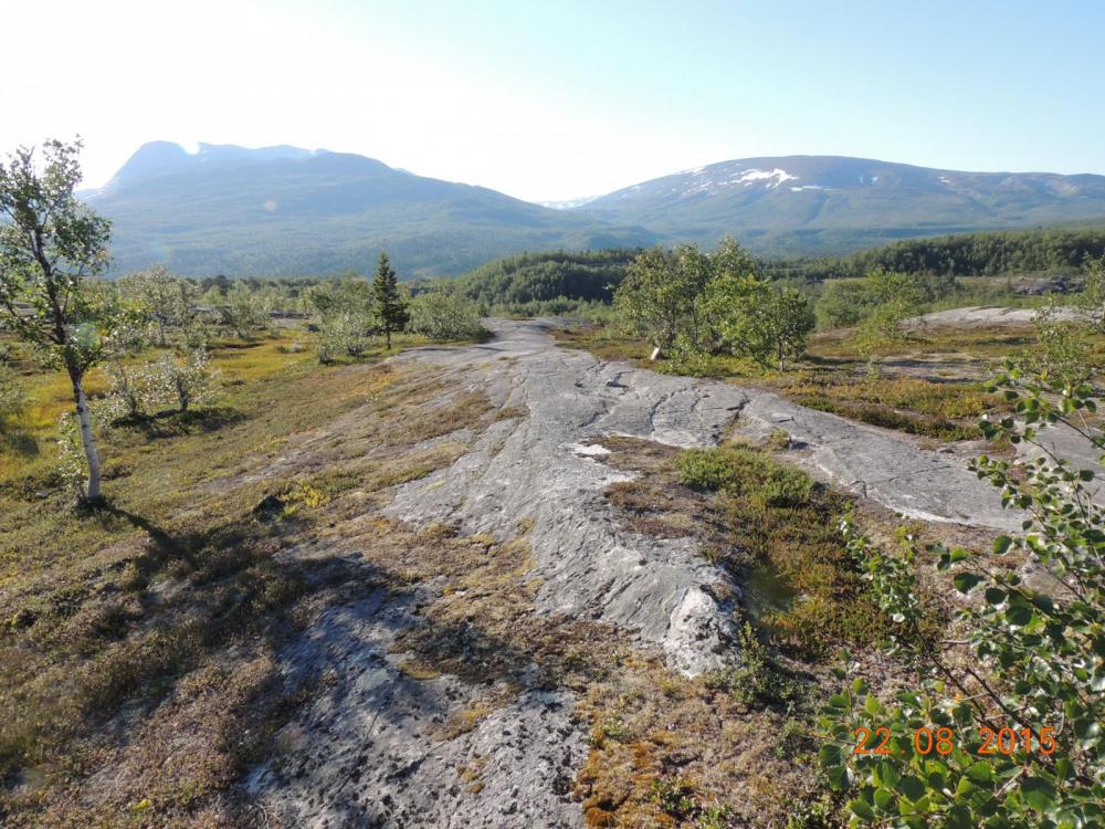 DSCN3856.thumb.JPG.e0a130675971d7cb93883