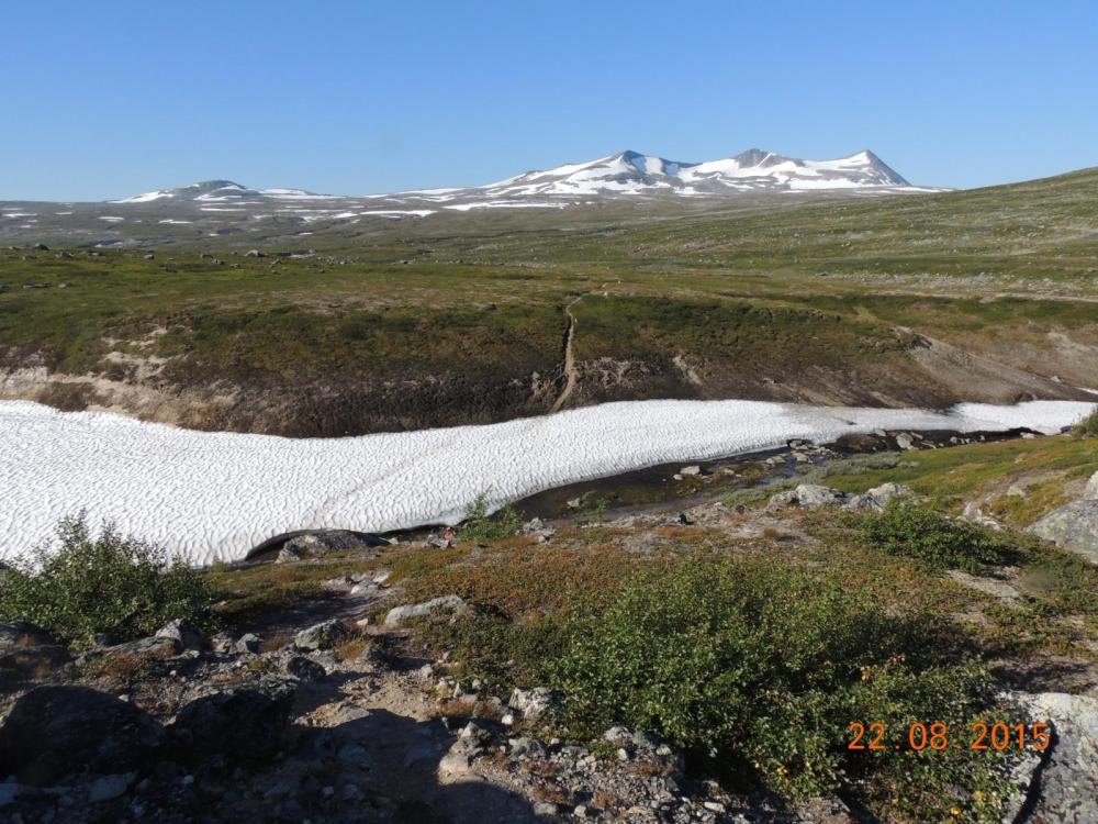 DSCN3868.thumb.JPG.7e77c5f4fd36f16899aa1