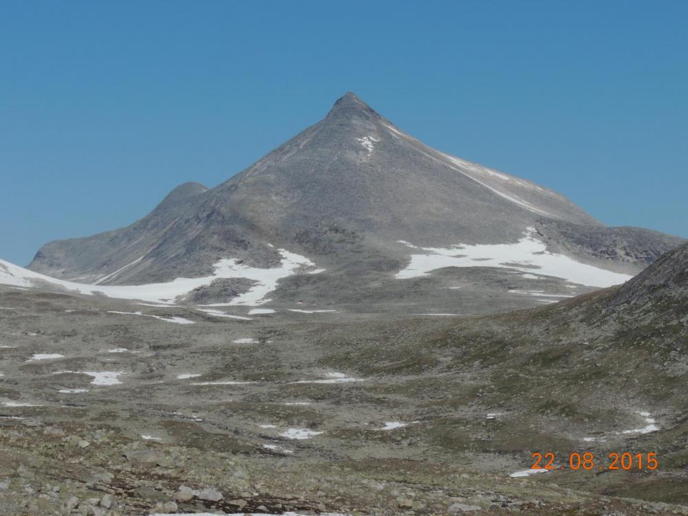 DSCN3882.thumb.JPG.dfc1ef98920a2f1a6e296