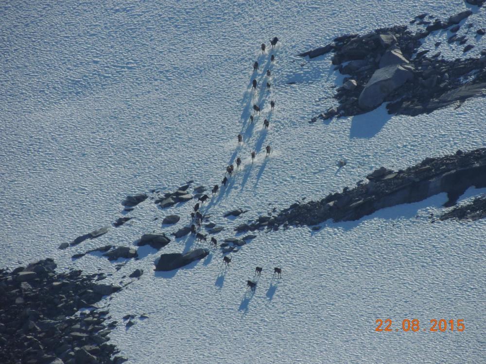 DSCN3886.thumb.JPG.f5955ad21b08edfad3ce2