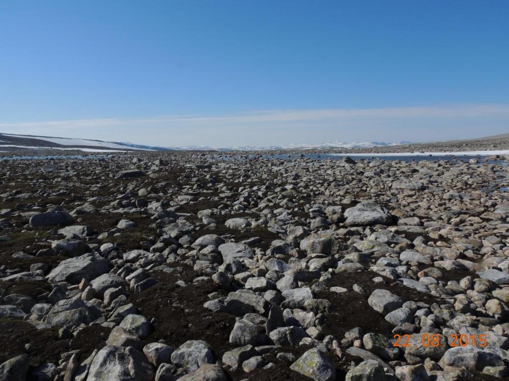 DSCN3890.thumb.JPG.7b11e901f20e61d4efca8