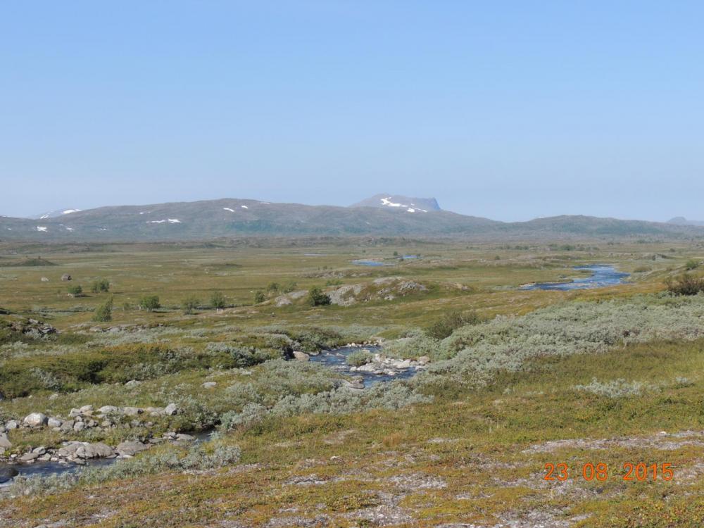 DSCN3970.thumb.JPG.17722b6645a717585d295