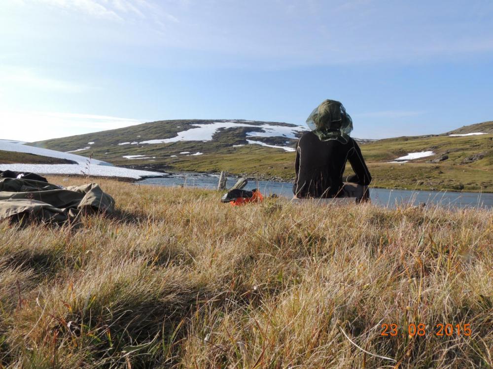 DSCN4003.thumb.JPG.1b72055c4c41e6641ffbb