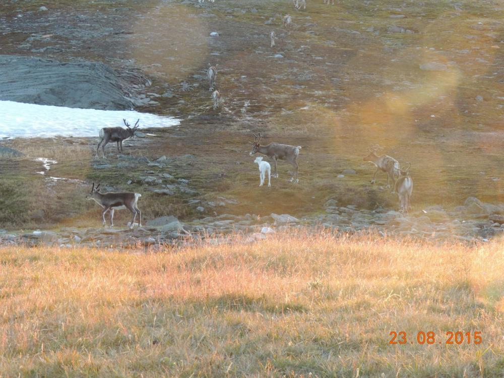 DSCN4010.thumb.JPG.d548498a0c7d02df852b5