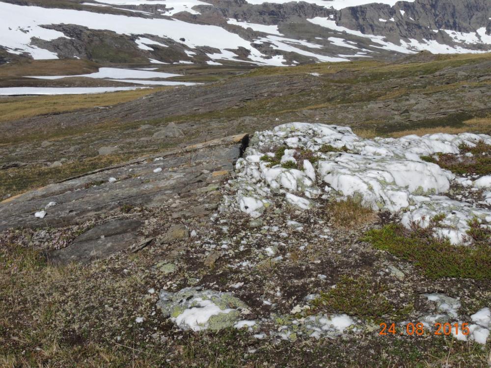 DSCN4020.thumb.JPG.c36771e85ef3d2472c286