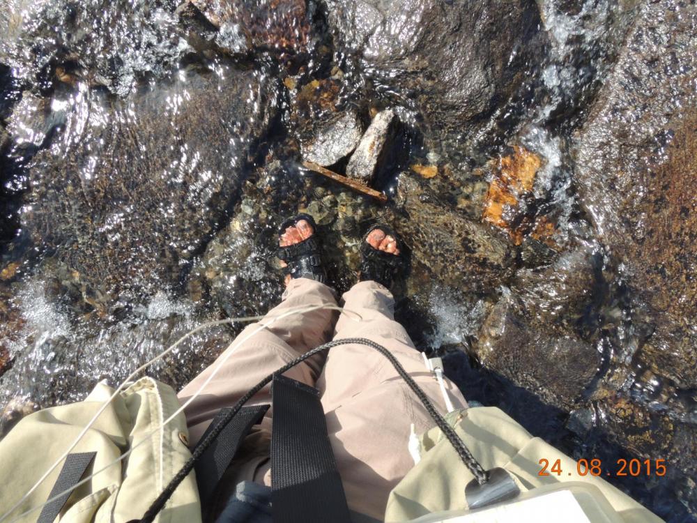 DSCN4063.thumb.JPG.d8374bc250639ffa0b317