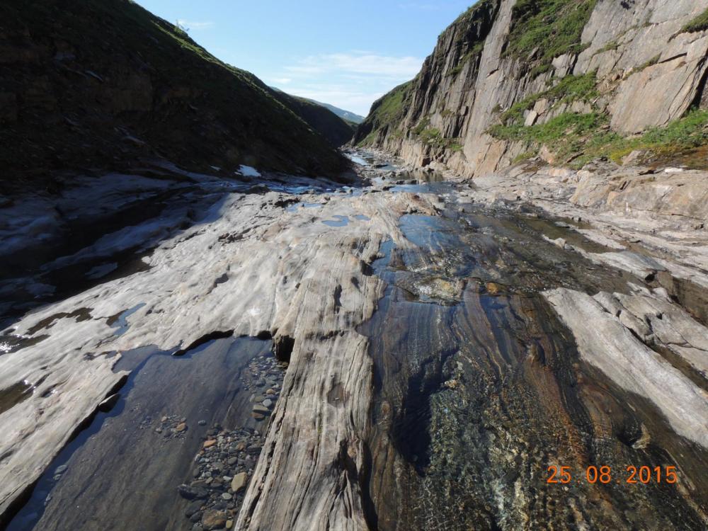 DSCN4105.thumb.JPG.0cab234bd7be38a14e674