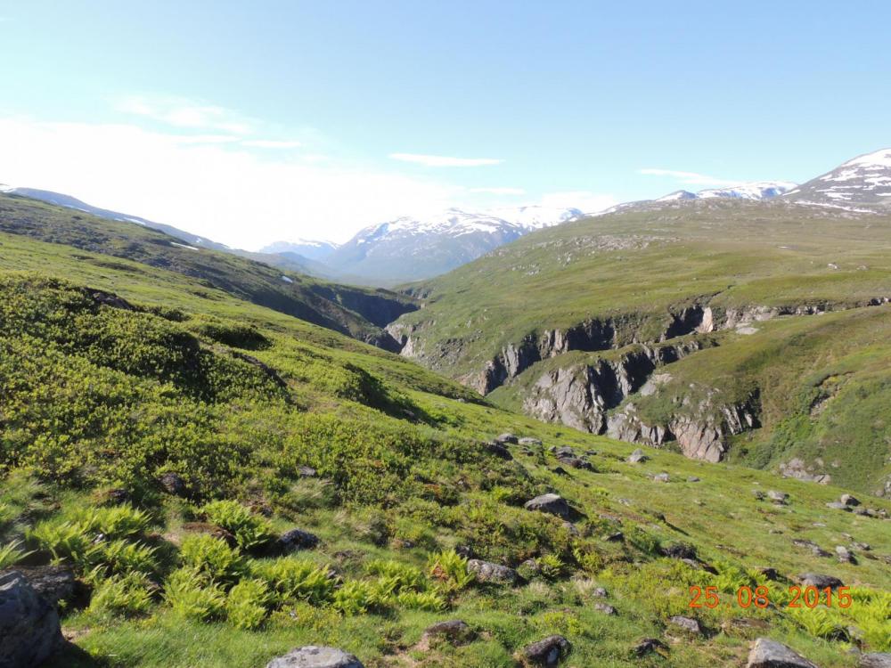 DSCN4113.thumb.JPG.5bb50f67752c6988a9783