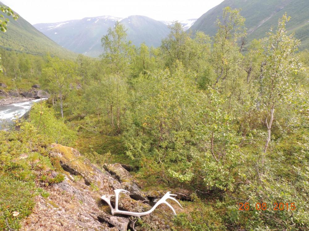 DSCN4171.thumb.JPG.671b00af6c2d965cf96fe