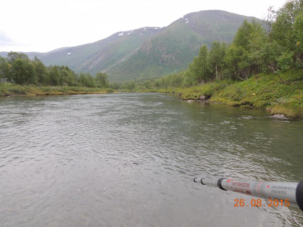 DSCN4179.thumb.JPG.b7d448ebac09db50977b9