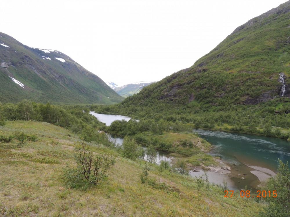 DSCN4204.thumb.JPG.aae00cdd6d0fc1b87b89e