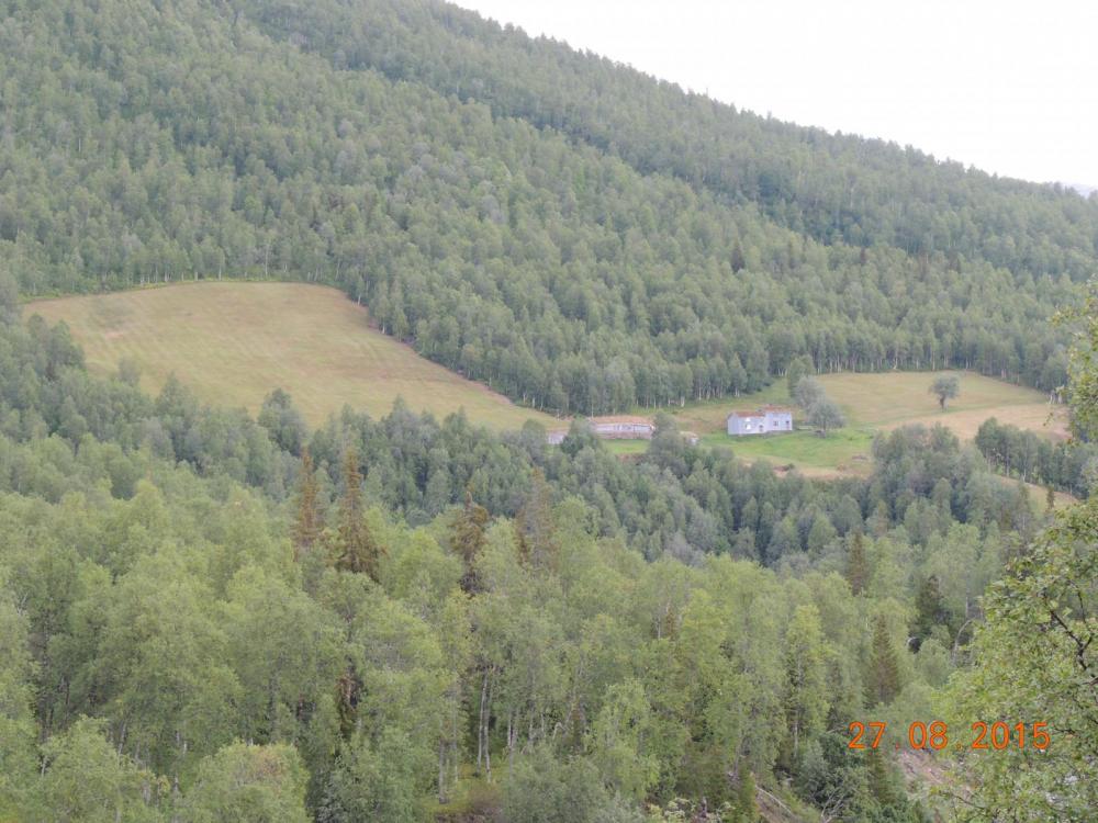 DSCN4214.thumb.JPG.2ba1946401d41f5100c5a