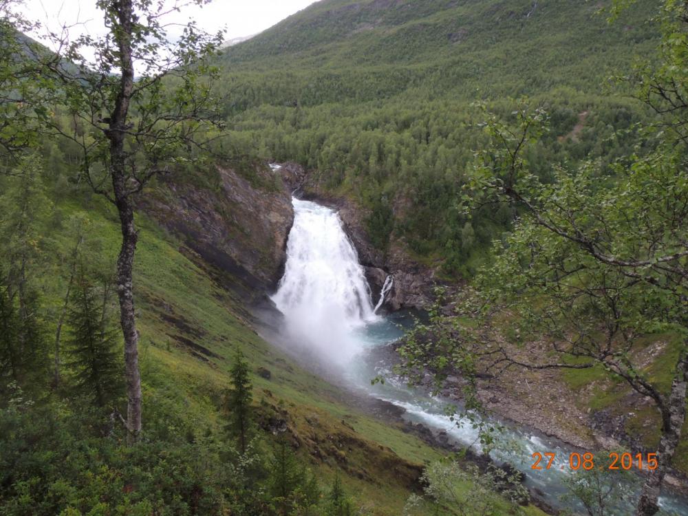 DSCN4220.thumb.JPG.28a6d0dd51c42c905bdd1