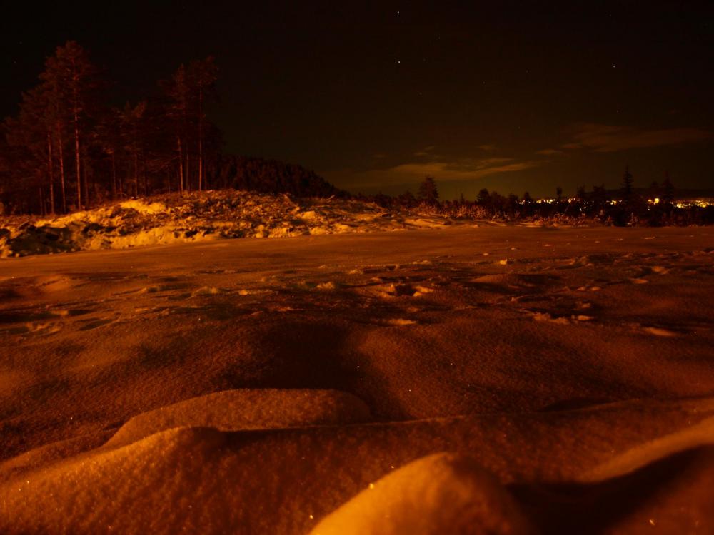 SB190250.thumb.JPG.bdebb07dc104da7c04a3d