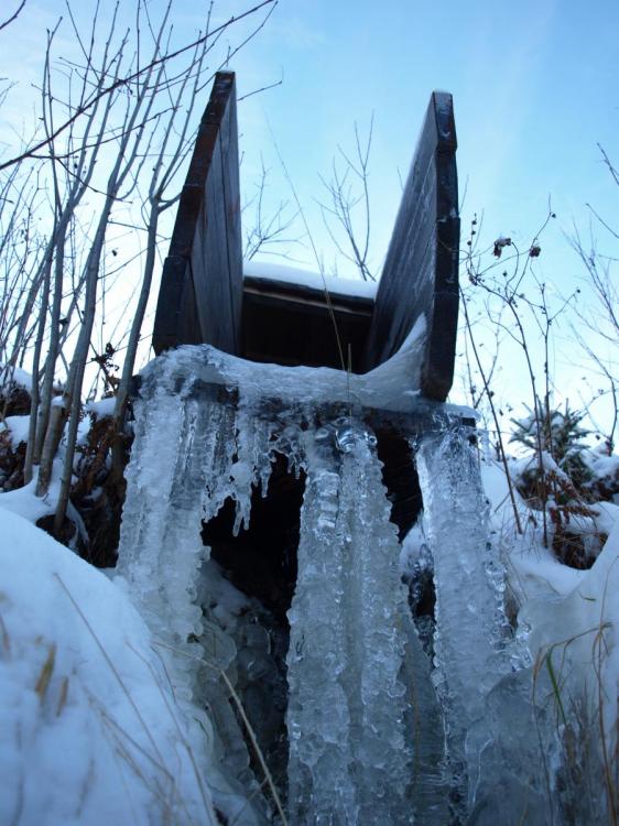 SB220298.thumb.JPG.7ff2523f2a38f26ed8052