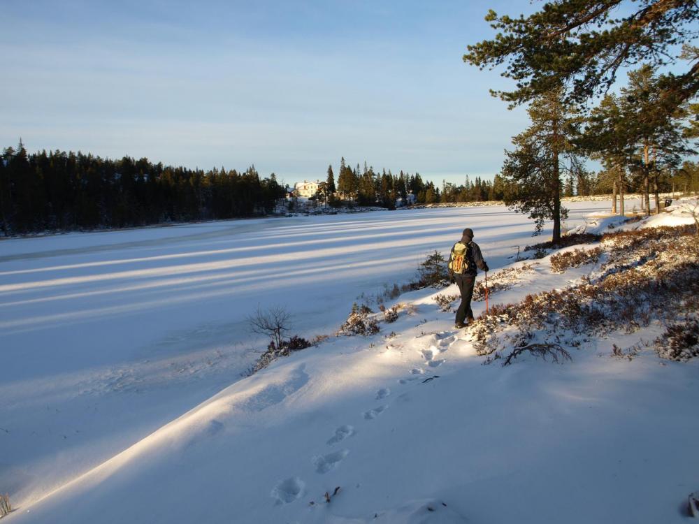 SB220304.thumb.JPG.8e123d2cf1ef07e3c0537