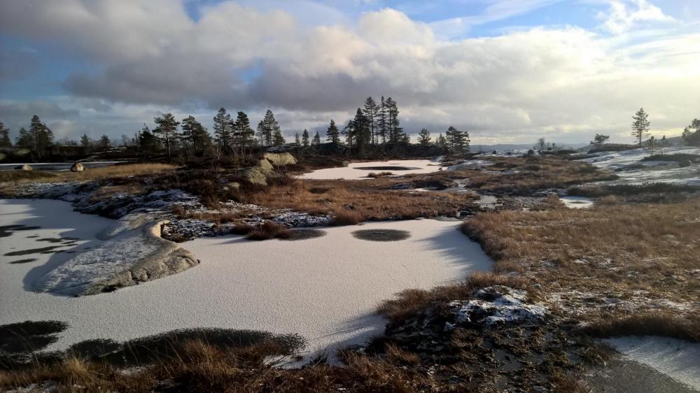 WP_20151114_13_23_24_Pro.thumb.jpg.7cf70