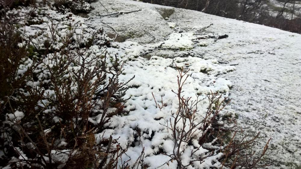 WP_20151114_13_41_16_Pro.thumb.jpg.f9a88