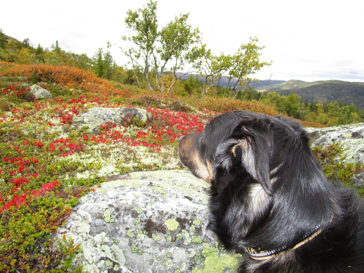 01.thumb.jpg.f5d985add198ab86a5335476c0f