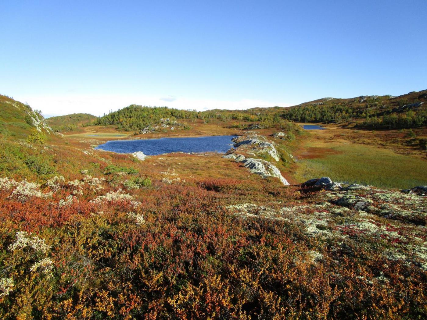 06.thumb.jpg.9cbee26ef5a2a07774ec2f025ec