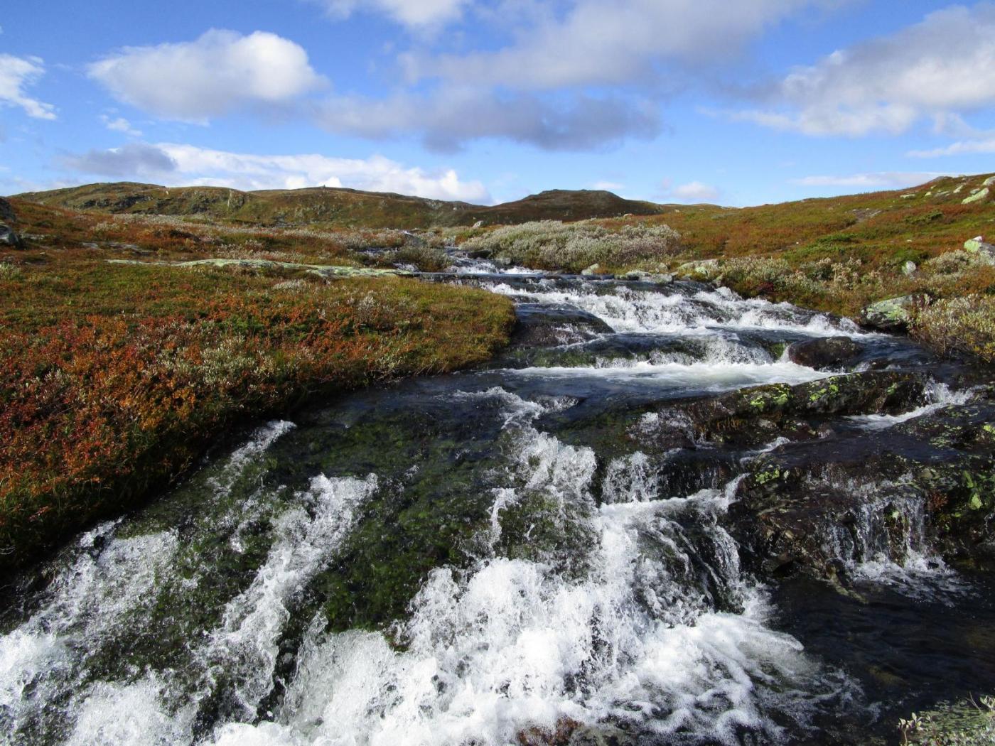 07.thumb.jpg.cb9498e58b7a5521c016b4e3877