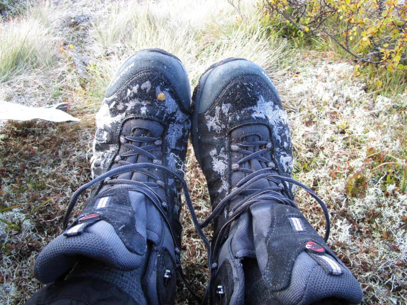 09.thumb.jpg.3df74f38f43fe337e146b685f26