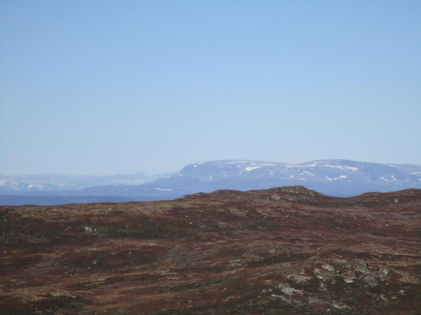 10.thumb.jpg.b539e518528fd1e4b4ff3eda28a