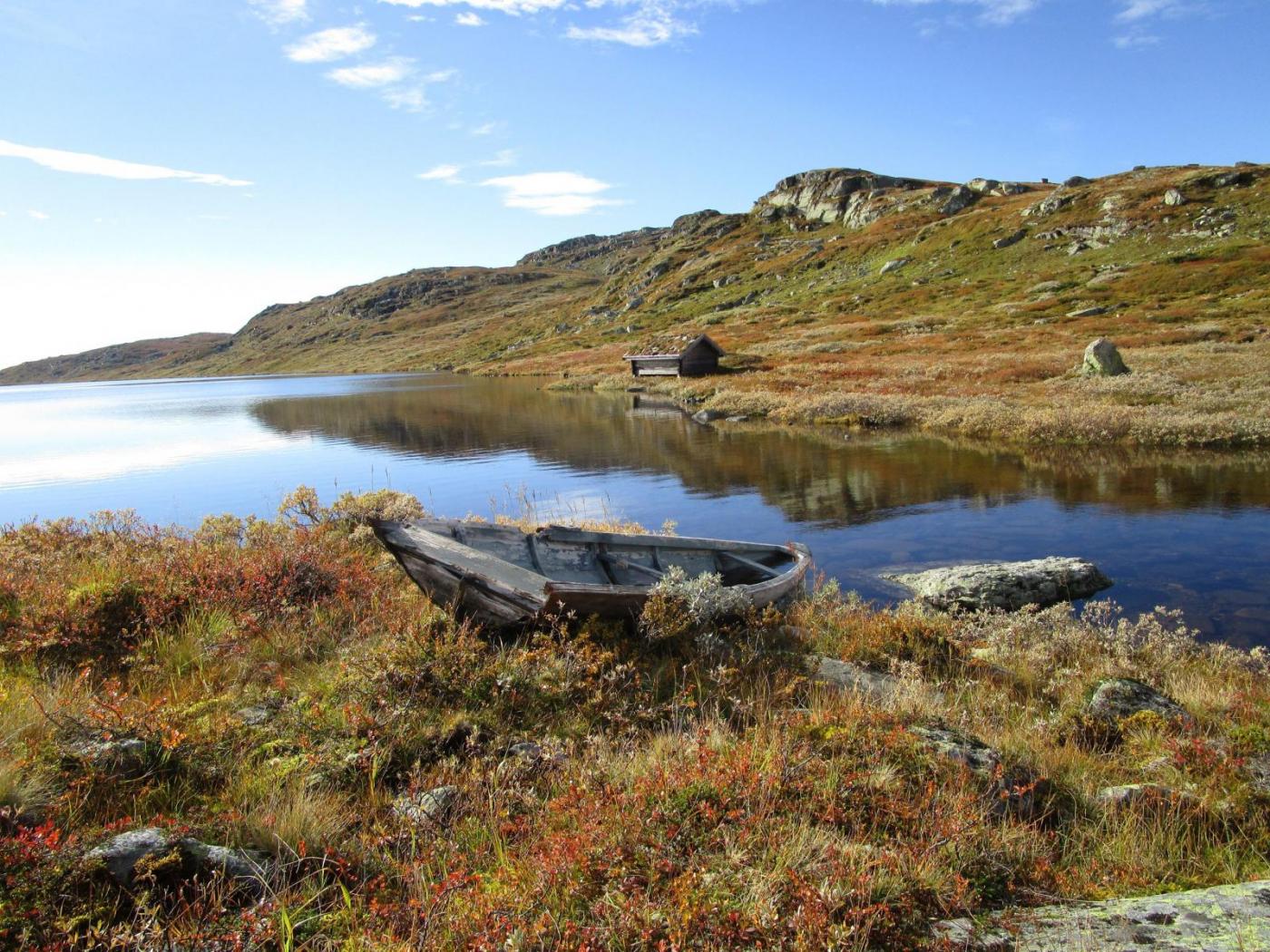 11.thumb.jpg.90a9ce5d645a6d66ed2d56a9807