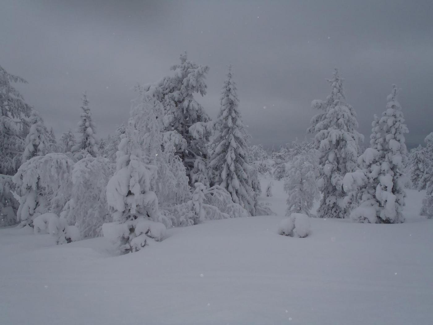 2012-12-23_00066.thumb.jpg.eeed350ceede4