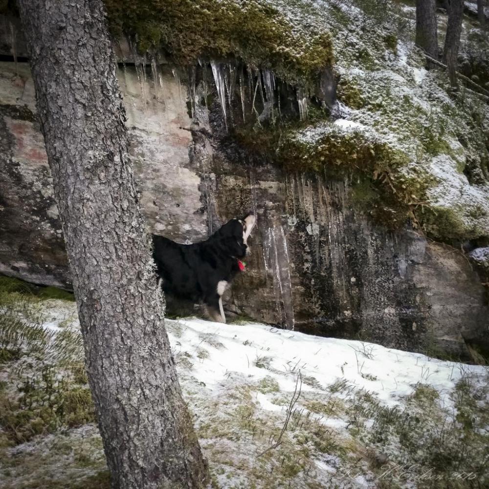 566d9bc5a2c49_2015-12-1313.48.25.thumb.j