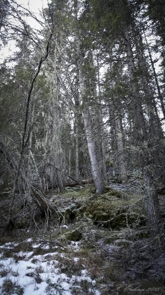 566d9bc6e610c_2015-12-1313.51.47.thumb.j