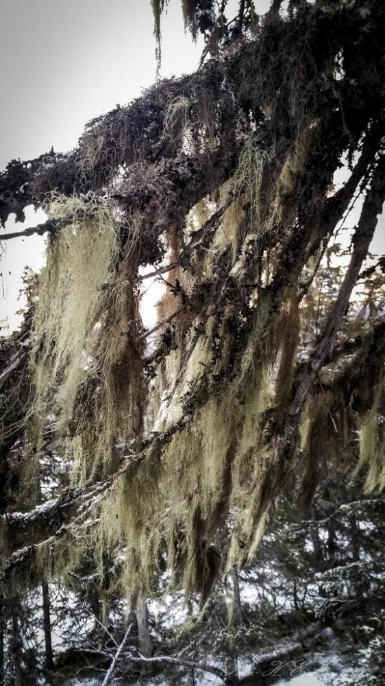 566d9bcd26e5f_2015-12-1315.04.06.thumb.j